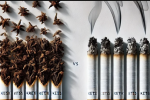 Kretek vs Rokok Filter: Mana yang Lebih Berbahaya?